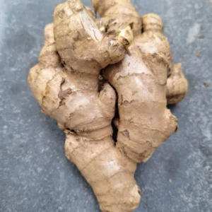 karbi anglong ginger, assam ginger, native ginger india, ginger rhizomes india, aromatic ginger variety