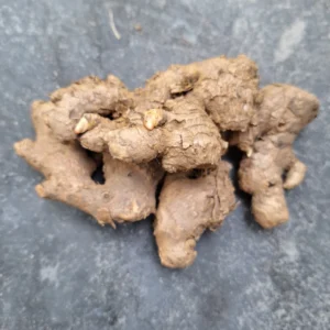 Ing Makhir Ginger Rhizomes (Meghalaya Native Ginger) – For Planting & Consumption