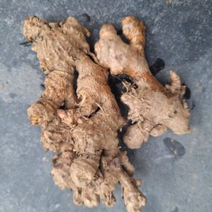 Naga Spicy Ginger Rhizomes (High Pungency Ginger) – For Planting & Consumption