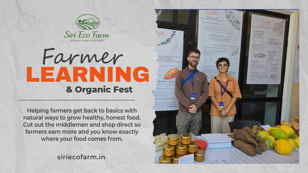 organic fest2 1